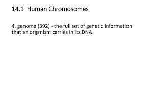 Describe the patterns of the inheritance of human traits. Information And Heredity Ppt Download