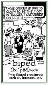Bipedalism Cartoons Google Search Unusual Words Cool Words