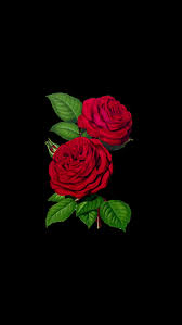 We did not find results for: Dark Rose Iphone Wallpaper Novocom Top