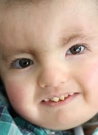 Robert Deegan Obituary (2011