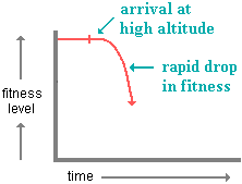 Human Biological Adaptability Adapting To High Altitude