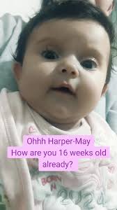 16 Weeks old already...Nanny loves you so much Harper-May Lou ❤️ #fyp  #foryou #foryoupage #harper #harpermay #iloveyou