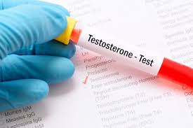 In male humans, testosterone plays a key role in the development of male reproductive tissues such as testes and prostate. Testosteron Werte Wie Es Sich Steigern Lasst
