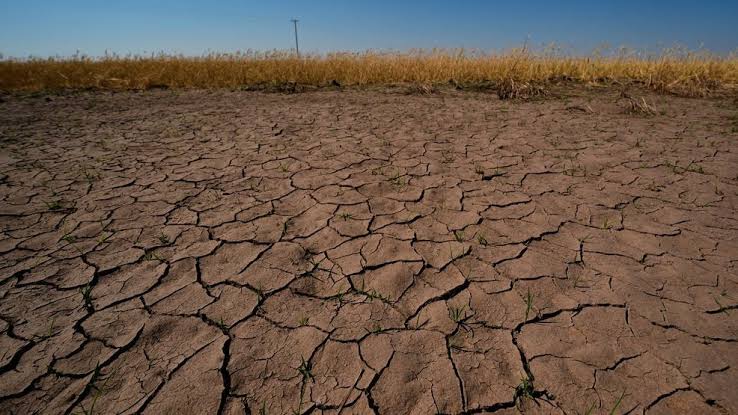 El Nino is here and scientists fear it'll be big, bad and costly