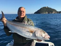 We did not find results for: Alassio Pescata Ricciola Di 15 Chili Ivg It