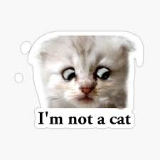 This video grab courtesy of the 394th district court of texas shows texas lawyer rod ponton appearing as a cat during a virtual hearing of the 394th district court of. Lawyer Cat Gifts Merchandise Redbubble