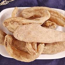 Image result for Gastrodia rwandensis