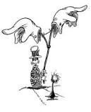 Image result