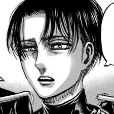 Levi No Regrets Attack On Titan Books – Fiheroe.