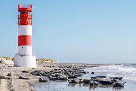 Im nationalpark deutsches wattenmeer ist. Camping An Der Nordsee Strand Wattenmeer Urlaubstipps Campwerk