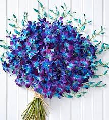 Exotic flowers & tropical flower arrangements | 1800flowers. Ocean Breeze Orchids 10 20 Stems 1800flowers Com 140953 Orchid Bouquet Orchids Blue Orchids