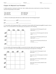What are the phenotypic ratios of the offspring? Chapter 10 Dihybrid Cross Worksheet Answer Key Fill Online Printable Fillable Blank Pdffiller