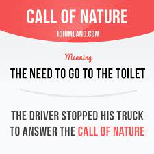 Call Of Nature English Vocabulary Words Learn English Words English Phrases