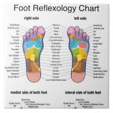 pin on reflexology foot chart
