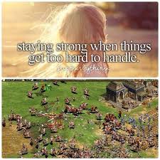 Out Of Gold Hussar Army It Is Age Of Empires Empire Memes Funny Games