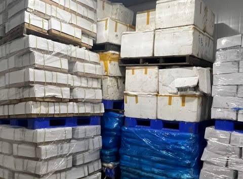 Hàng Đông Lạnh Từ TP.HCM Đi Hải Phòng Và Quy Trình Vận Chuyển