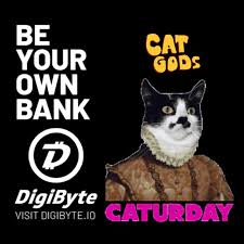 Maybe you would like to learn more about one of these? Caturday Meme Gifs Tenor