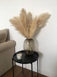 Pampa Sechee Nouvelle Tendance Deco Du Moment En 2020 Tendance Deco Idee Deco Appartement Deco