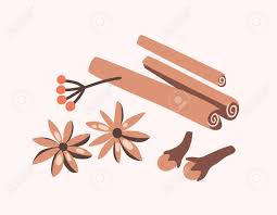 The inner bark is then extracted and the woody parts removed. Cinnamon Sticks Cloves And Star Anise Isolated On Light Background Royalty Free Cliparts Vectors And Stock Illustration Image 122536524