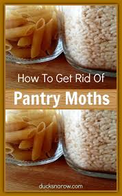 So what you will end up with is a 2 level counter top. How To Get Rid Of Pantry Moths June 2021 Ducks N A Row