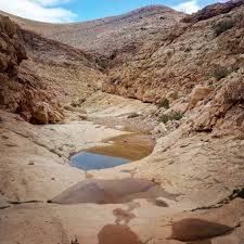 Israel, egypt and jordan, design your own tour of 3 countries desert tours from jerusalem to the judean desert. The Judean Desert Israel Desert Travel Scenery Photos Holy Land Israel Holy Land