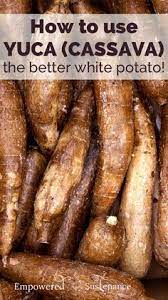How To Use Paleo Friendly Yuca Autoimmune Paleo Recipes Paleo Recipes Yuca Recipes