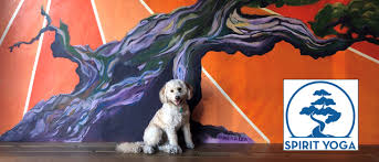 Maybe you would like to learn more about one of these? Summer Intensive Yoga Teacher Training Spirit Yoga Studios San Diego Ca July 28 2021