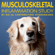 We will have taken care of having planned the treatment, a treatment that will be the solution. Amazon Com Nzymes Antioxidant Treats For Dogs Joints Hips Paralysis Skin Coat Hair Loss Aging Digestion Neurological Seizures 60 Treats Made In The Usa Pet Supplies