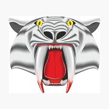Tigre dientes de sable (poblador de smilodon) mostrado como un modelo de tamaño natural. Decoracion La Cara De Un Tigre Redbubble
