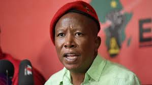 Malema Property Empire: R21.6 Million Exposé Rocks EFF Leader