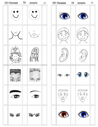 Genetics Preschool Worksheets For Kids Fun Worksheets For Kids Fun Worksheets