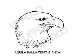 Disegni Immagini Da Stampare E Colorare Uccelli E Volatili Di Ogni Specie Uffolo Disegni Uccelli Stampe Di Uccelli
