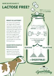 How Is Lactose Free Milk Made