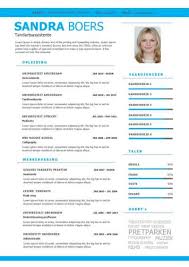 Verpleegkundige Cv Template S Gratis Motivatiebrief