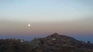 يافع السيف والضيف قاموس الأشجار والنباتات في يافع د علي صالح الخلاقي بجاش يناير 22 2011 قاموس الأشجار والنباتات في يافع إعداد د علي صالح الخلاقي الحقوق محفوظة الأعزاء