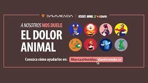 ¡haga transferencias sinpe 0 costo desde el estudio! Sea Parte Del Rescate De Animales Silvestres San Jose Volando