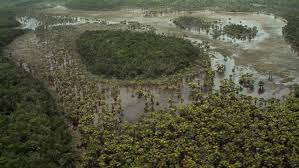 Aerial View Of The Amazon Stock Footage Video 100 Royalty Free 11220098 Shutterstock