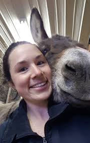 Practitioner directory