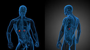 Jeg håper du har nytte av svaret her. Scintigrafi Av Binyrene Nhi No