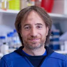 RNA regulation in pathogenic bacteria — IBMC