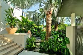 Jardin Amenagement Jardin Paysager Jardin Tropical Tout Pour Le Jardin