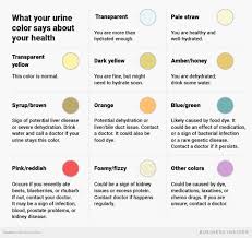 What The Color Of Your Urine Says About Your Health And Hydration Pee Color Color Of Urine Color