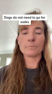 #dogtraining #dogtrainer #forcefree #balancedtraining #fyp #dogbehavior  #sportdogs #ringsport #sportdog #balancedtraining