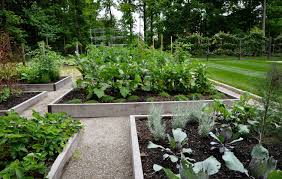 Thinking Outside The Boxwood Modern Landscaping Outdoor Gardens Potager Garden