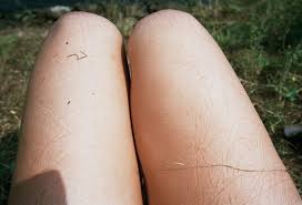 London Art Fairs Photo50: The Fascination of Dealing with the Other Sex -  1854 Photography