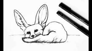 Margherita cole | my modern met then, add two wings of fur to either side of the fox's head, and a short snout at the bottom of the circle. How To Draw A Fennec Fox Easy Youtube