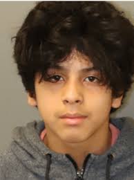 Home black hairstyles 25 updo hairstyles for black women. 12 Year Old Florida Boy Accused Of Beating Dog With Metal Pipe Wset