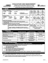 Trailblazer E M Audit Tool Worksheet Medical Coder