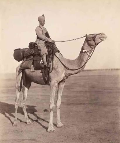 WWI & Camel Cavalry: Junagarh Fort's Forgotten War Story