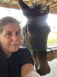 Sharing horse pictures and stories in a positive reinforcement horse  training community